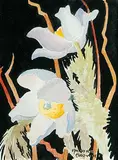 Annora Brown, Untitled - Prairie Anemone, watercolour on paper