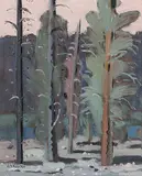 Stanley Morel Cosgrove, Untitled - Forest Interior