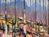 Fireweed and Burnt Timber, Storm Mountain, No. 1 by Illingworth Kerr, 1976, oil on canvas board, sold Apr 2007