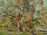 Illingworth Kerr, Mesquite Tree, Mesa, Arizona