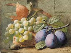 Charles Henry Slater, Untitled - Still Life of Grapes and Plums, watercolour on paper