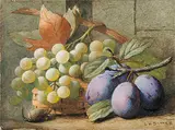 Charles Henry Slater, Untitled - Still Life of Grapes and Plums, watercolour on paper