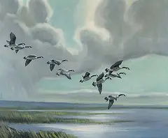 David Adams, Untitled - Canadian Geese, oil on canvas