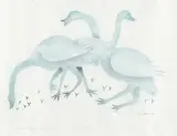 Peter Aliknak, Swans #16/50, 1970, colour relief print on paper