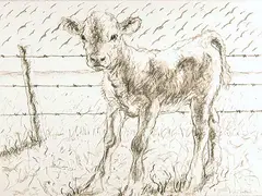 Joseph Fafard, Barb #4/150, 1991, lithograph on paper