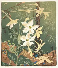 Verna Viola Depew, Nicotiana #18/75, 1956, colour lino block on paper