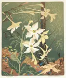 Verna Viola Depew, Nicotiana #18/75, 1956, colour lino block on paper