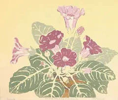 Ella Ashbridge Richards, Gloxinias, 1956, colour silkscreen on paper