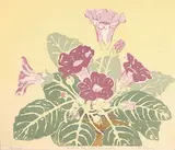 Ella Ashbridge Richards, Gloxinias, 1956, colour silkscreen on paper