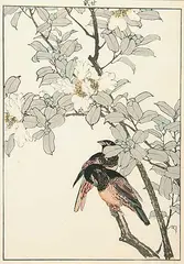 Two Birds on a Branch with White Flower by Imao Keinen, colour wood block on paper, sold Nov 2006