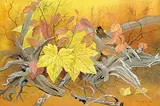 Annora Brown, Untitled - Forest Floor in Autumn
