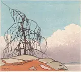 Walter J. Phillips, Jack Pine #2/100