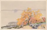 Wild Cherry #206 by Walter J. Phillips, 1927, colour wood block on paper, sold Nov 2006