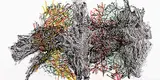 Jean Paul Riopelle, Album 67 [No.6] #17/75, 1967, colour lithograph on paper