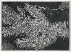 Henry Eric Bergman, Untitled - Pine Bough, wood block on paper