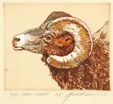 Jack Lee Cowin, Big Horn Sheep #A.P.
