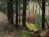Donald Houston Curley, A Quiet Place [painted Chester Basin N.S.], oil and acrylic on hard board