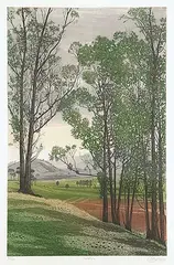 Nostalgia [Trees and Hills] #55/125 by Francisco Dominguez, colour etching on paper, sold Nov 2006