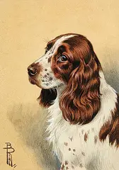 Boris Riabouchine, Untitled - Brown and White Puppy with Brown Background, gouache on paper