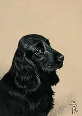 Boris Riabouchine, Untitled - Black Puppy with Brown Background, gouache on paper