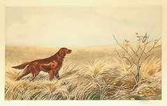 Boris Riabouchine, Untitled - Pointer and Bird, colour etching on paper