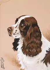 Boris Riabouchine, Untitled - Brown and White Puppy, gouache on paper