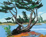 Josh Jack Silburt, Wind Blown, oil on hard board