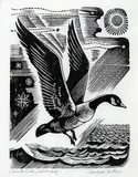 Laurence Hyde, Canada Goose #Artist's Proof, wood engraving on paper
