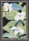 Annora Brown, Canadian Dogwood