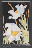 Annora Brown, Prairie Anemone