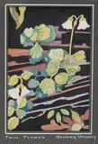 Annora Brown, Twin Flowers