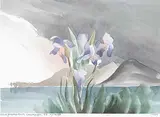 Norman Antonio Onley, Iris at Paradise Ranch, Lake Okanagan, B.C. 11 June 1995