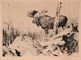 Alaska Wilderness by Carl Rungius, 1928, etching on paper, sold Apr 2006