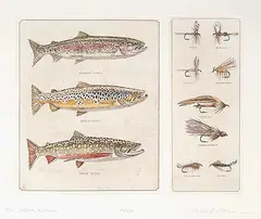 Mike Stidham, T.U. Special Edition #68/250, hand coloured etching on paper
