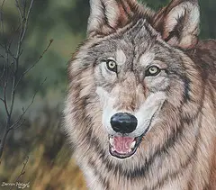 Darren Haley, Wolf Portrait, 1996, acrylic on hard board