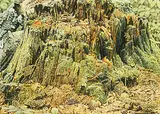 Ernest Friedrich Lindner, Untitled - Stump, 1975, watercolour on paper
