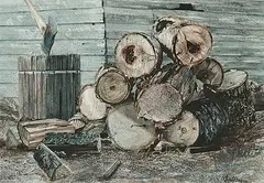 Vivian Thierfelder, Toward Winter, 1982, watercolour on paper