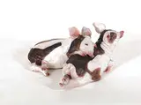 Untitled - Relaxing Couple by Gwen Hughes, hand coloured ceramic sculpture, sold Nov 2005