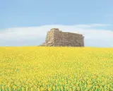 Sylvain Voyer, Prairie Architecture, 1987, acrylic on canvas