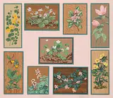 A. J. Casson, Untitled - Nine Various Flowers, colour silkscreen on wood veneer