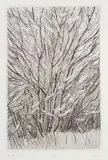 Dora Helen Mackie, Bush in Snow #3/8, etching on paper