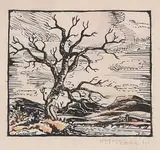 Marion Florence Nicoll, Untitled - The Old Tree