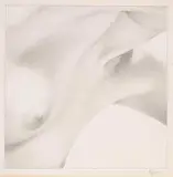 Floating by Myfanwy Pavelic, graphite on paper, sold Nov 2005
