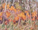 Audrey Pfannmuller, Rainment, oil on canvas