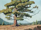 Windblown Fir by Margaret Shelton, 1956, oil on paper board, sold Apr 2005
