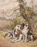 Olivier Charles de Penne, Untitled - Dogs Resting, watercolour on paper