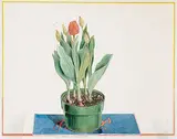 William Griffith Roberts, Bass Ale and Tulips, watercolour on paper