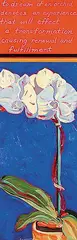 Katherine Lakeman, To Dream of an Orchid, acrylic on hard board