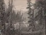 Family Vaux, Untitled - Glacier Fed Stream, 1901, platinum photograph