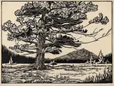 Windblown Fir #2/50 by Margaret Shelton, 1947, lino block on paper, sold Apr 2005